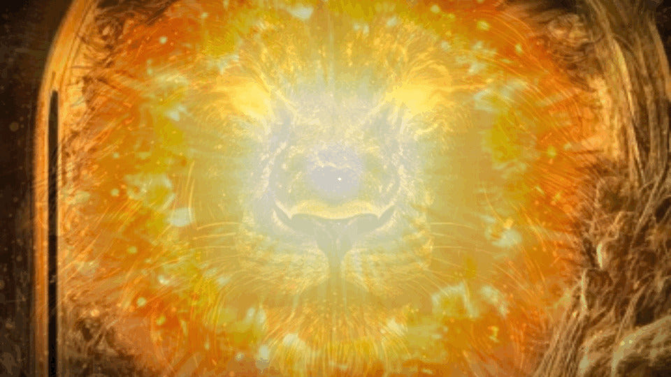 LIONS GATE PORTAL 1000X