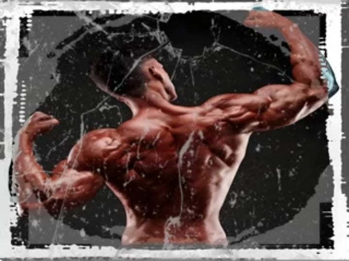 Strength and Endurance