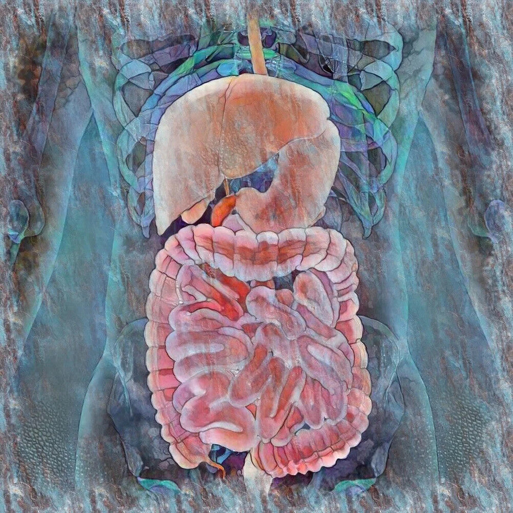 The Iron Gullet (Gastrointestinal Inflammation Help)