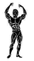 Golden Era Physique