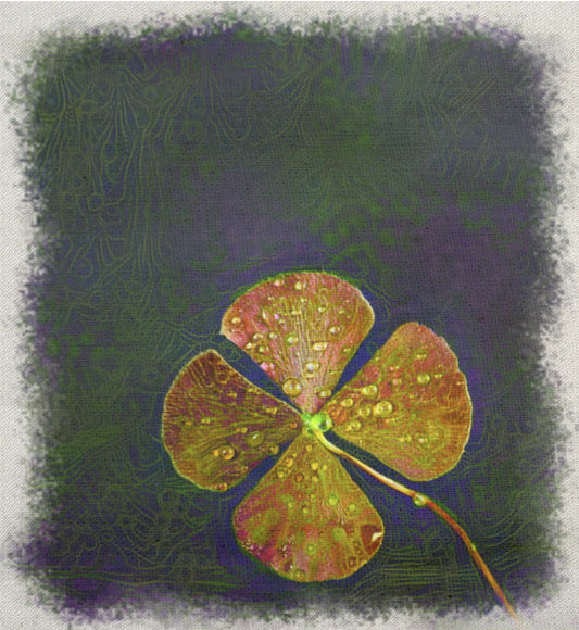 Lucky Horse Shoe and Clovers