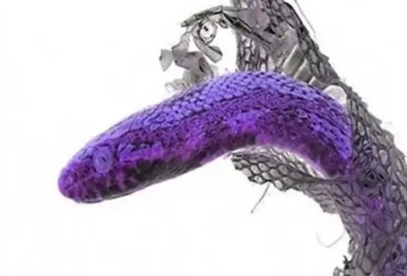 Your New Improved Skin