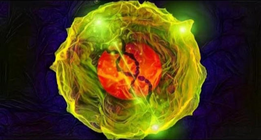 Smart Stemcells
