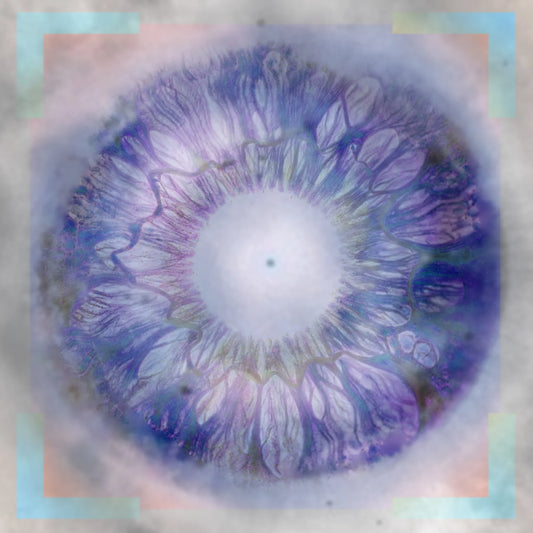 Vision of Clarity