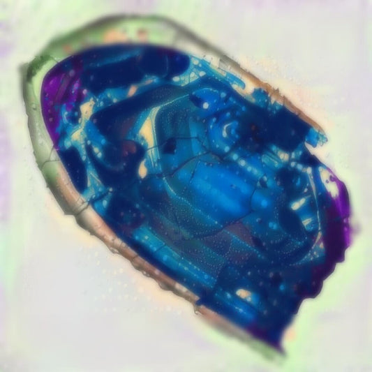 Alchemical Zircon and Danburite