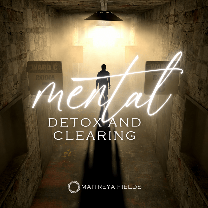 Mental Body Detox [DM + Audio]