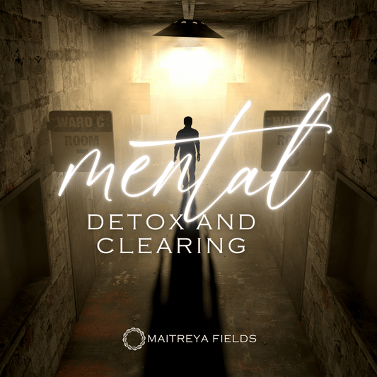 Mental Body Detox [DM + Audio]