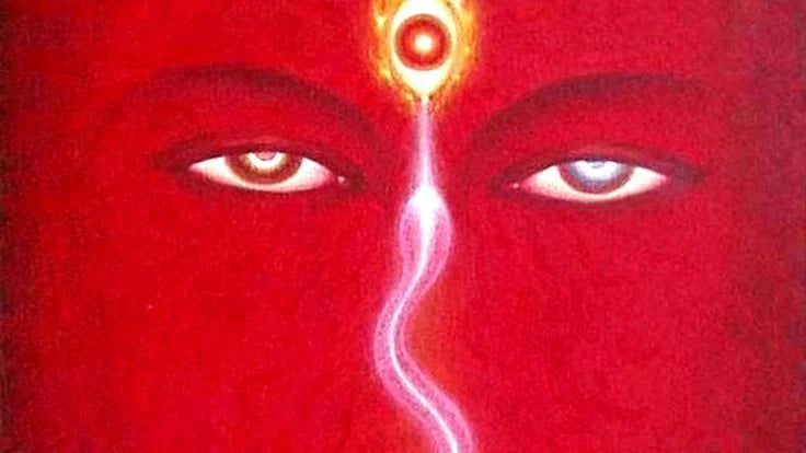 The Ultimate SR & Life Force Mastery [Dynamic Energy Field] - Morphic Field {FOR MALE USERS}