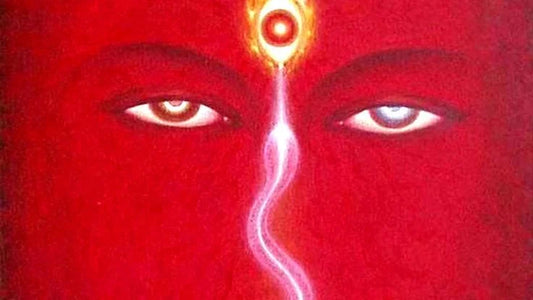 The Ultimate SR & Life Force Mastery [Dynamic Energy Field] - Morphic Field {FOR MALE USERS}