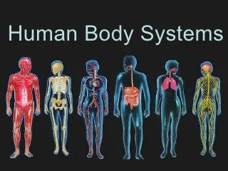 Human Body System Healing and Regeneration Powerful Plus +11x(Extra Strong)