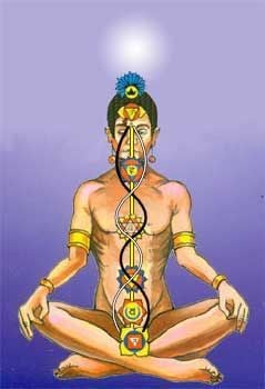 Life Force Ascension Power of Retention and Energy Transmutation [Dynamic Energy Field] - Morphic Field