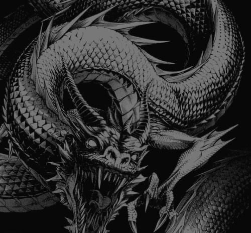 Hankami v11 / The Dragon