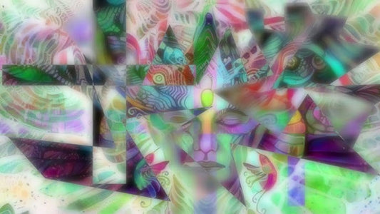 The Shamanic Medicine Blend