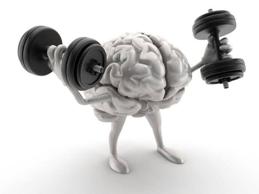 Brain Growth Work