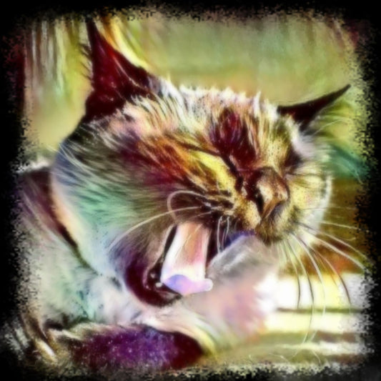 Negentropic Full Body Yawning and Purring