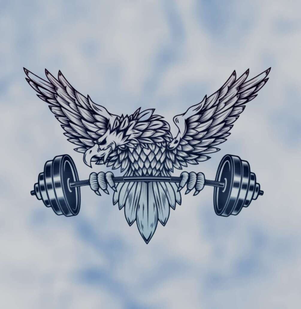 The Shredded Effect (Morphic Field)