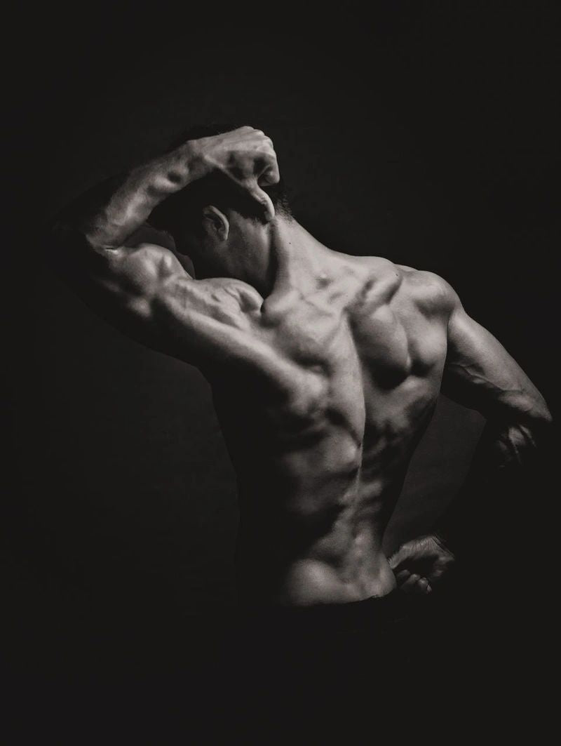 Adonis stature field – MatrixSubs