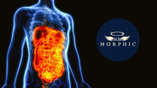 Digestive Masterwork - (Morphic Field)